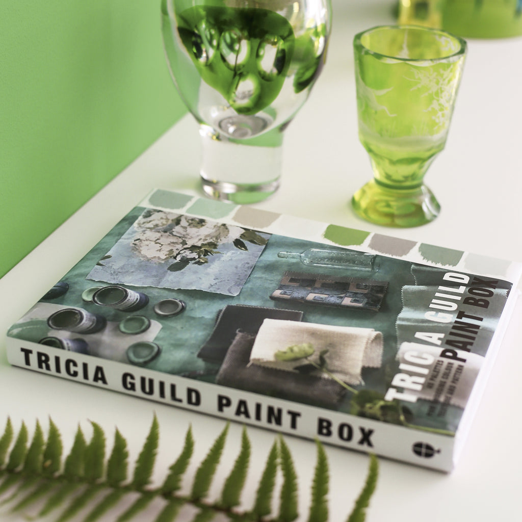 "PAINT BOX" BOOK BY TRICIA GUILD