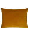 CASSIA SAFFRON & HAZEL DECORATIVE PILLOW