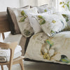 JARDIN BOTANIQUE BIRCH SHAM SAMPLES