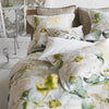 JARDIN BOTANIQUE BIRCH SHAM SAMPLES