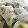 JARDIN BOTANIQUE BIRCH SHAM SAMPLES