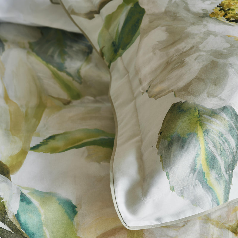 JARDIN BOTANIQUE BIRCH SHAM SAMPLES