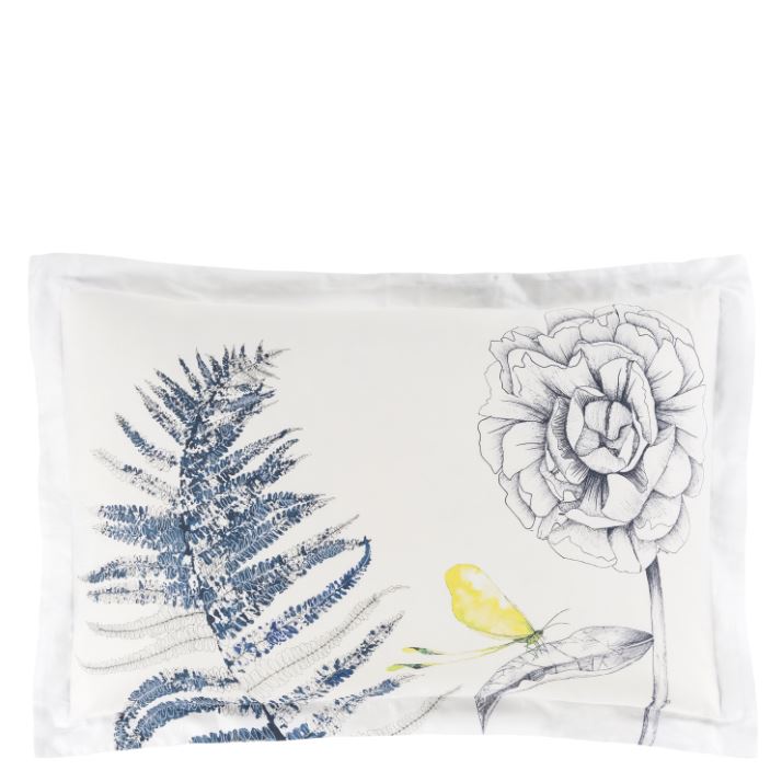 ACANTHUS INDIGO QUEEN SHAM SAMPLE