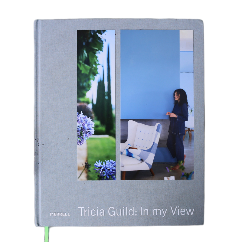 "IN MY VIEW" BOOK BY TRICIA GUILD