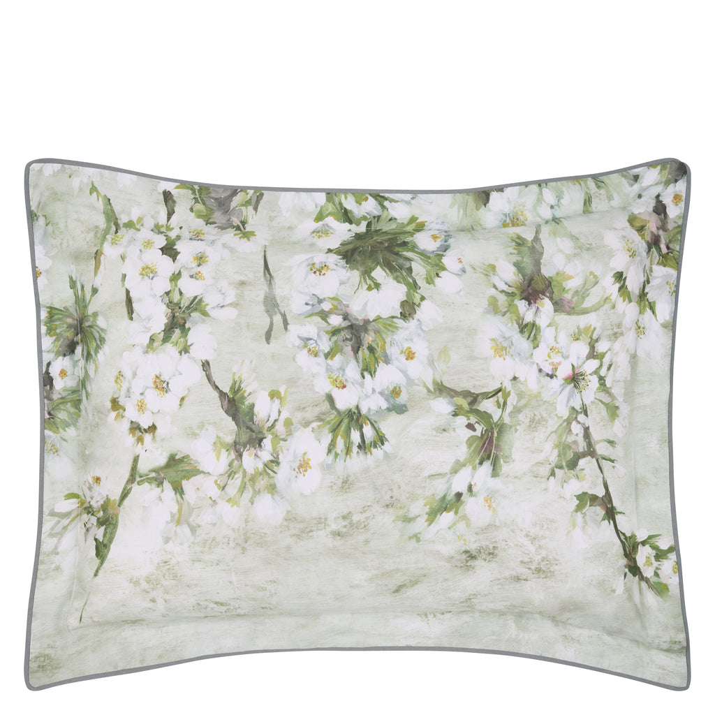 ASSAM BLOSSOM DOVE SHAMS