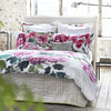 CHENEVARD SILVER & WILLOW QUILTS & QUILTED SHAMS